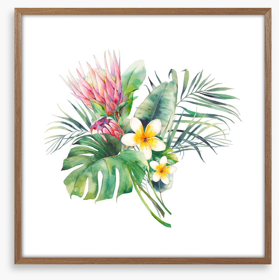 Protea in the palms II