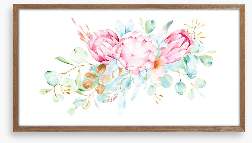 Pretty protea