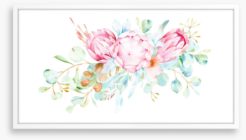 Pretty protea