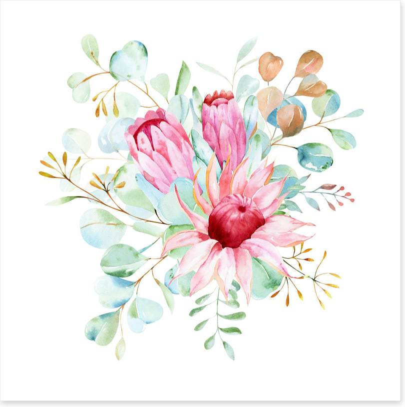 Protea petals II