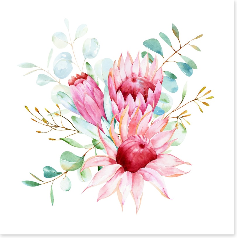 Protea petals I