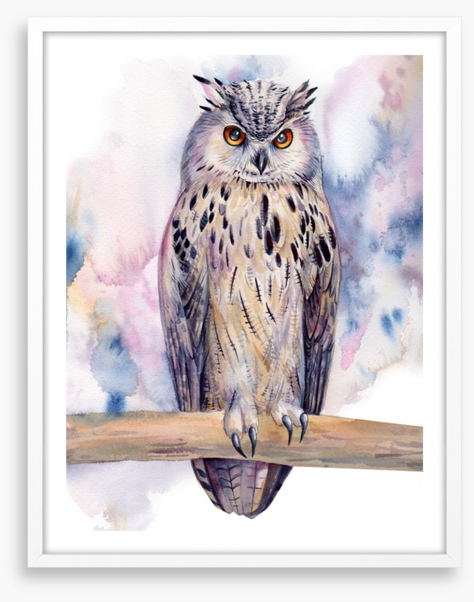 Birds