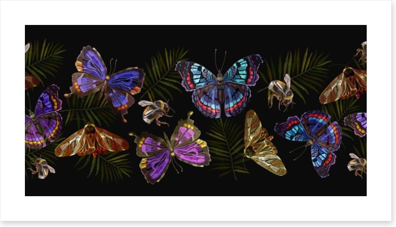 Butterflies