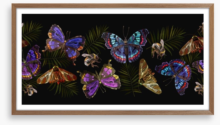 Butterflies