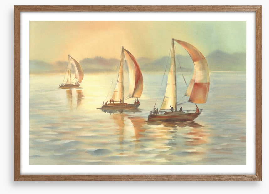 Golden evening yachts