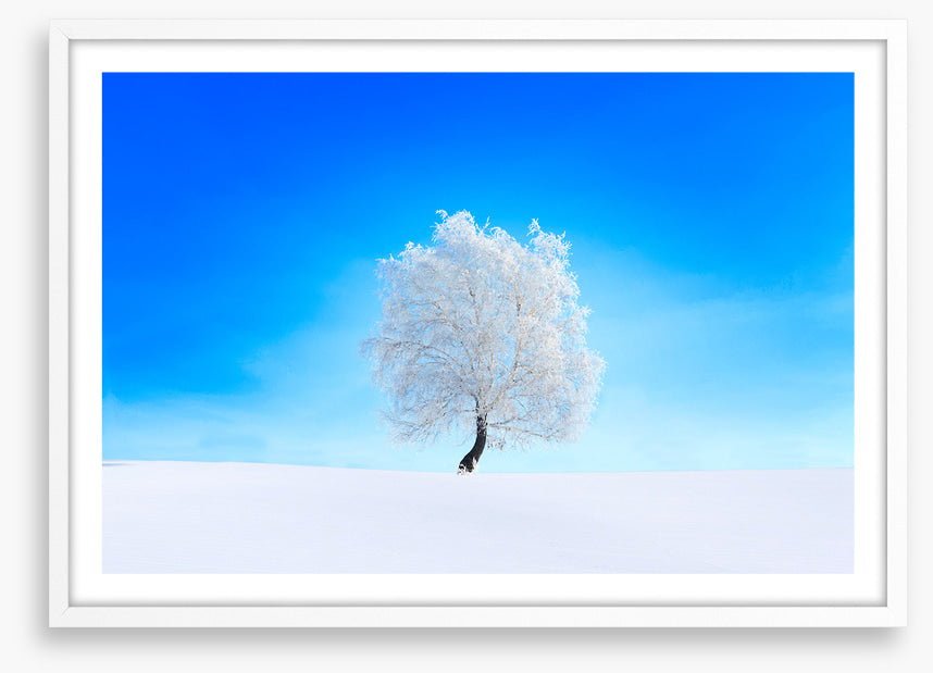 Snowy tree sky