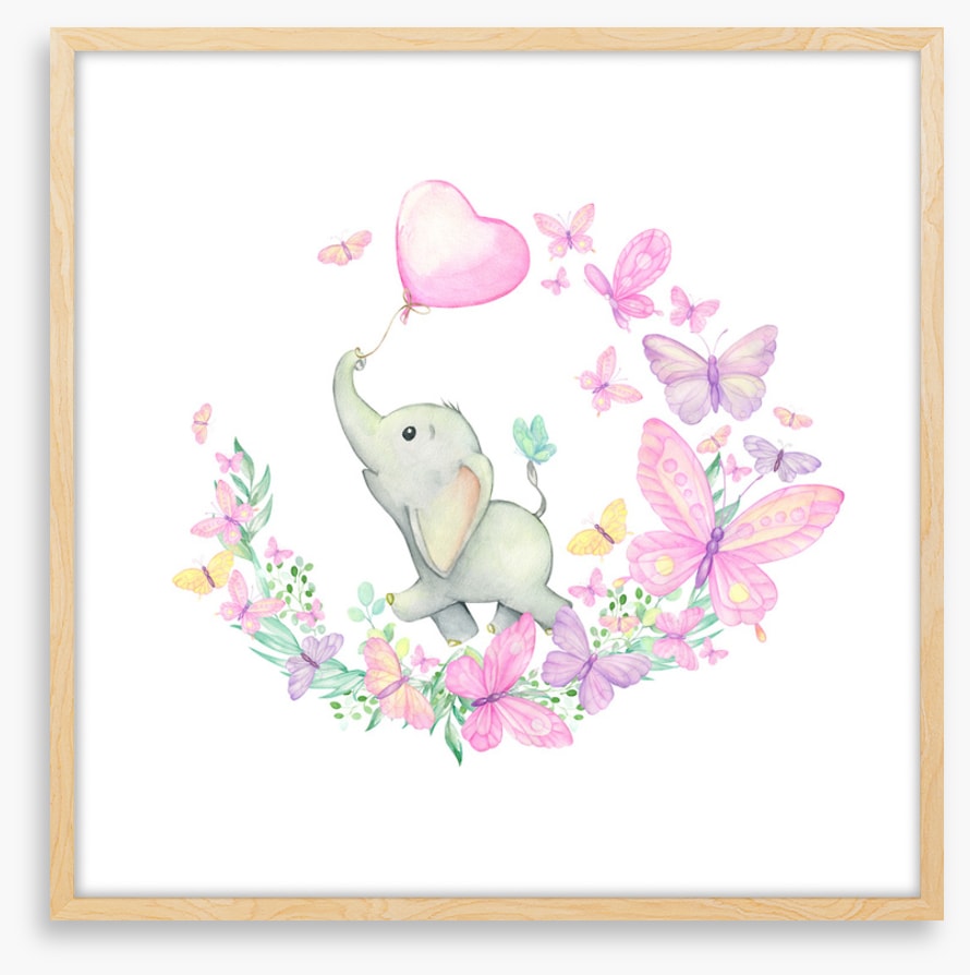 Baby elephant butterflies 2