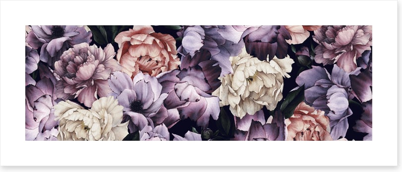 Purple peony panoramic