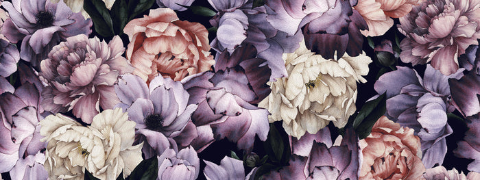 Purple peony panoramic