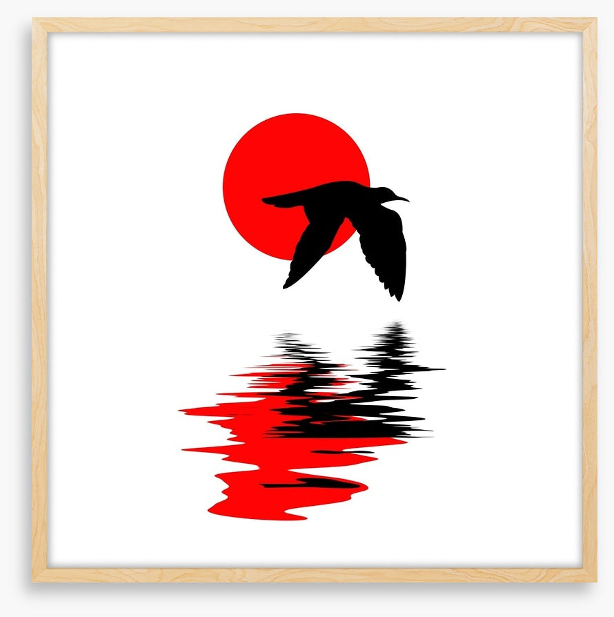 Gull on water