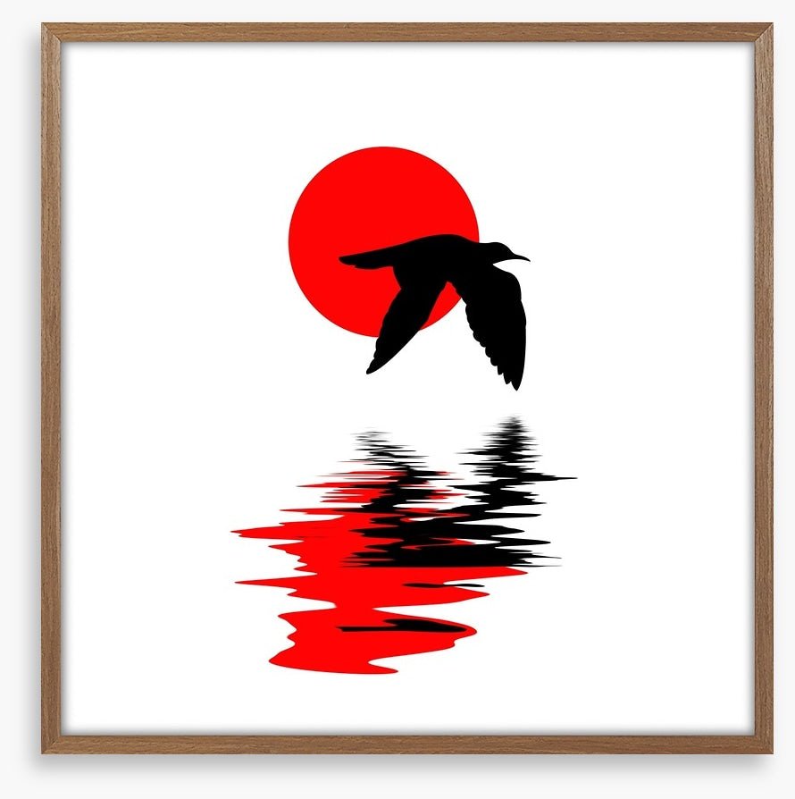 Gull on water