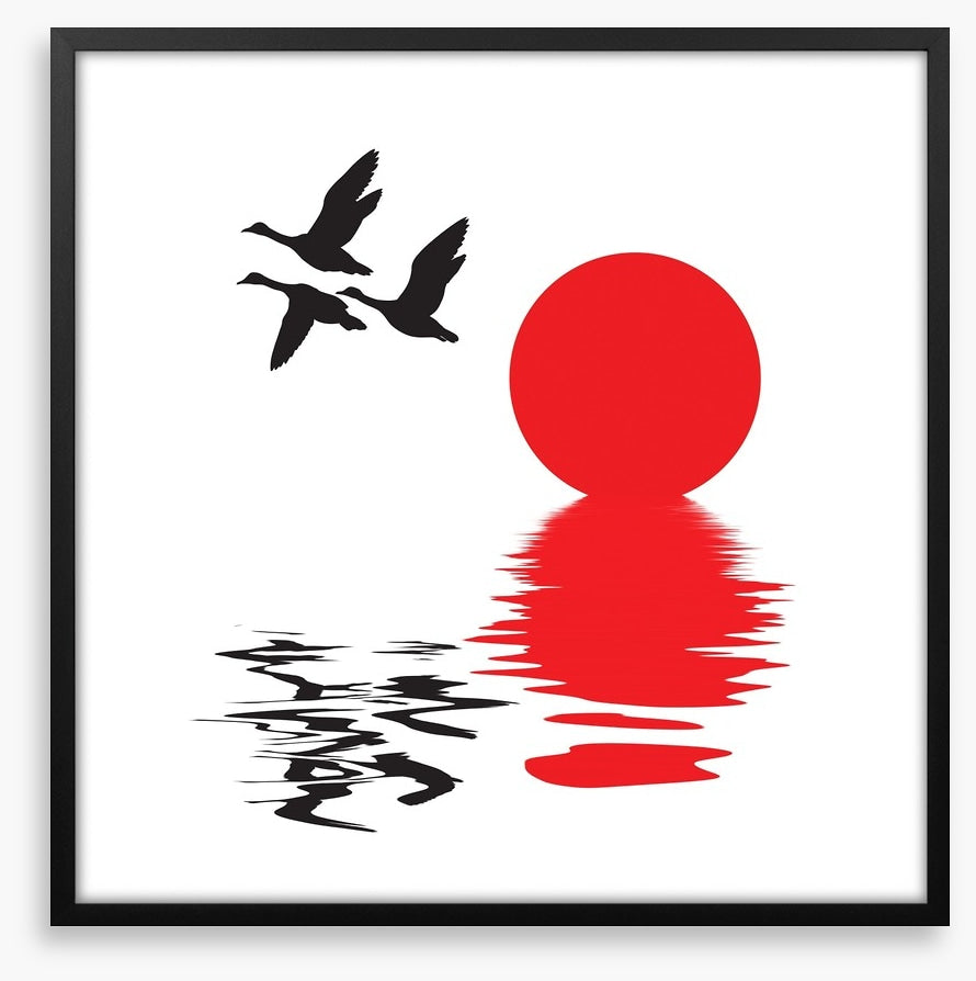 Flying ducks
