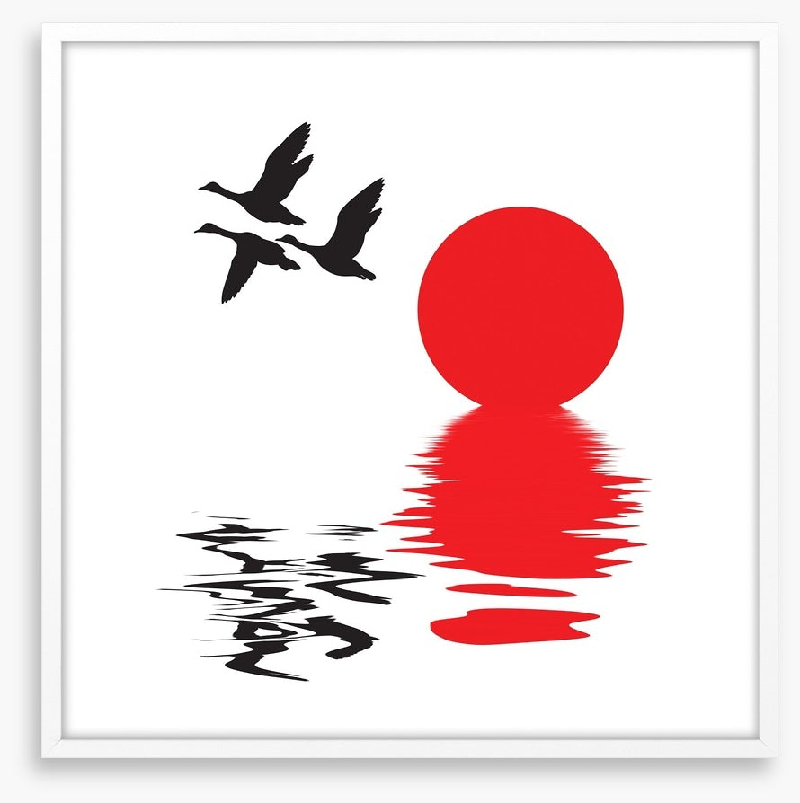 Flying ducks