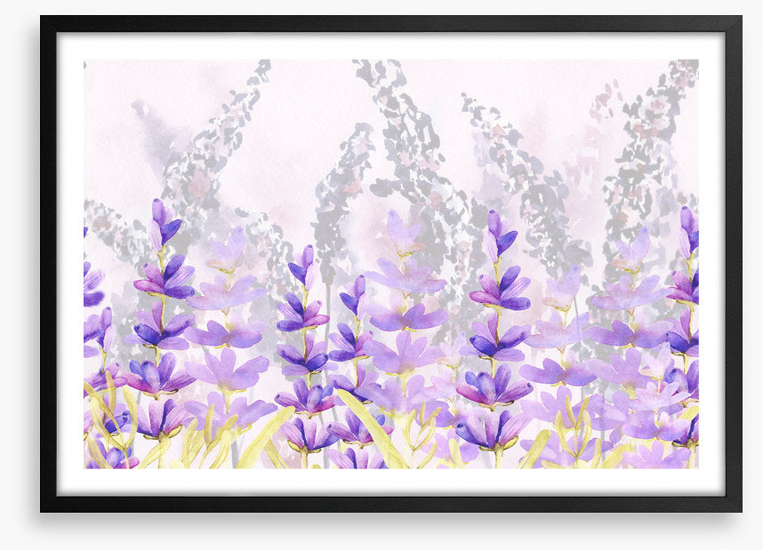Lovely lavender