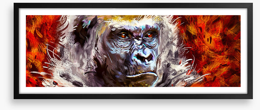 Gorilla gaze
