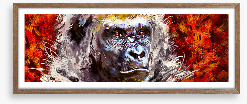 Gorilla gaze