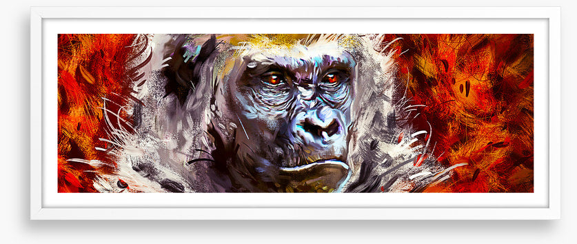 Gorilla gaze
