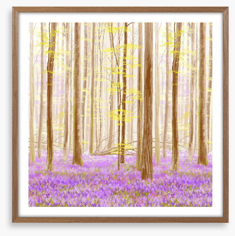 Forest fancy