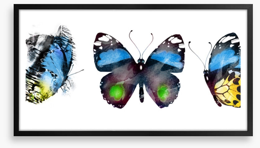 Butterflies