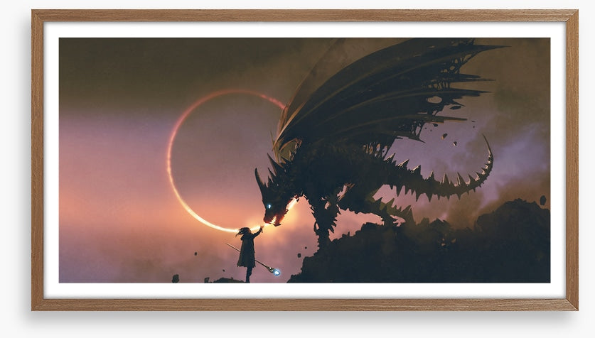 Taming the dragon
