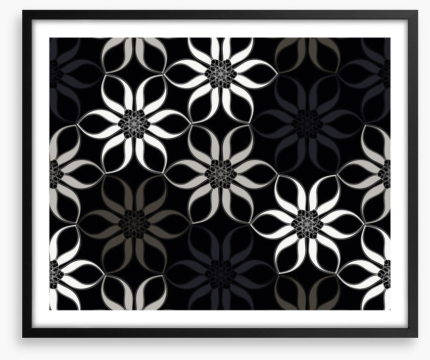 Shadow blooms
