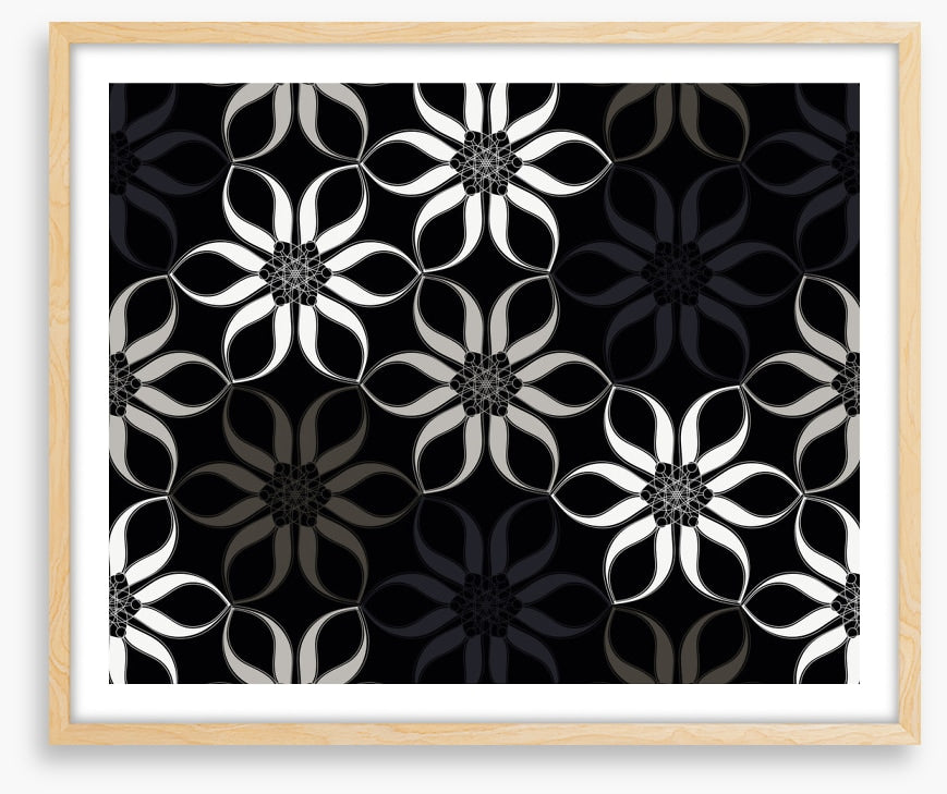 Shadow blooms