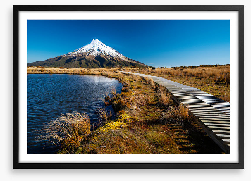 Track to Mt. Taranaki