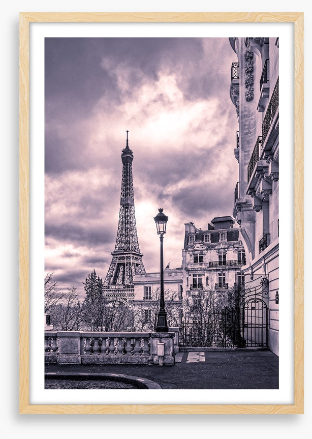 Purples of Paris