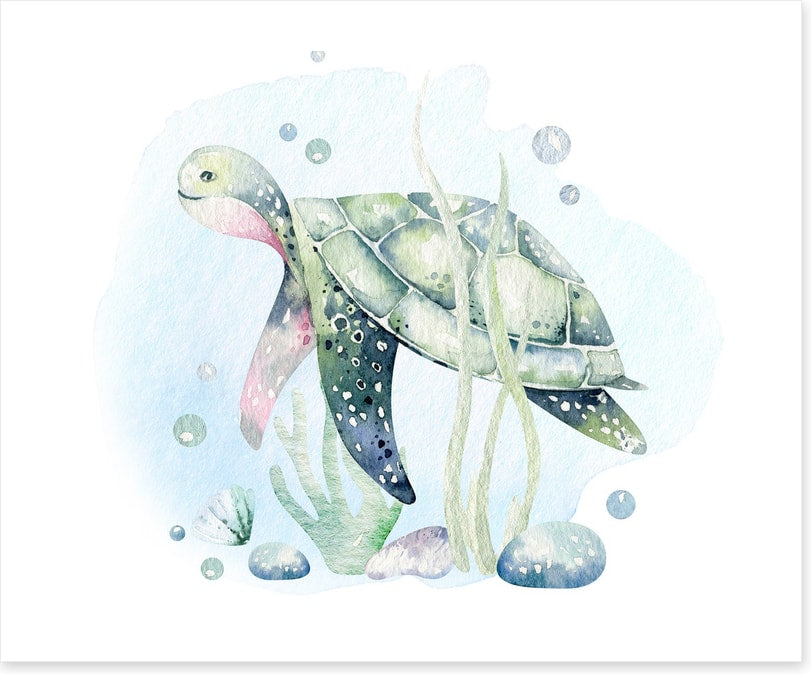 Softly softly sea turtle