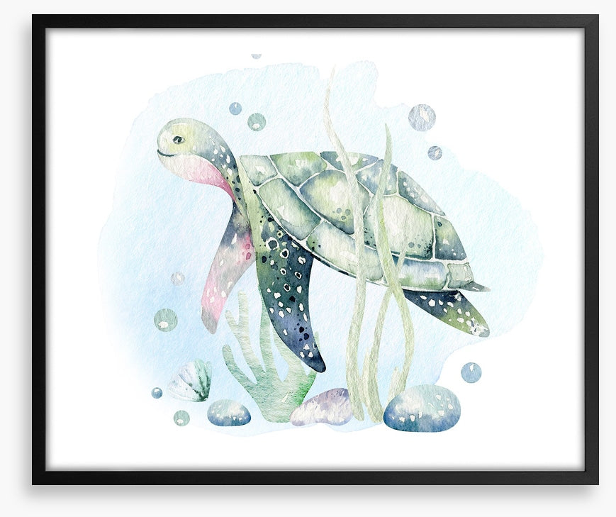 Softly softly sea turtle