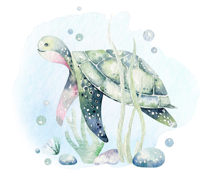 Softly softly sea turtle