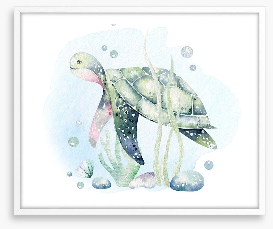 Softly softly sea turtle