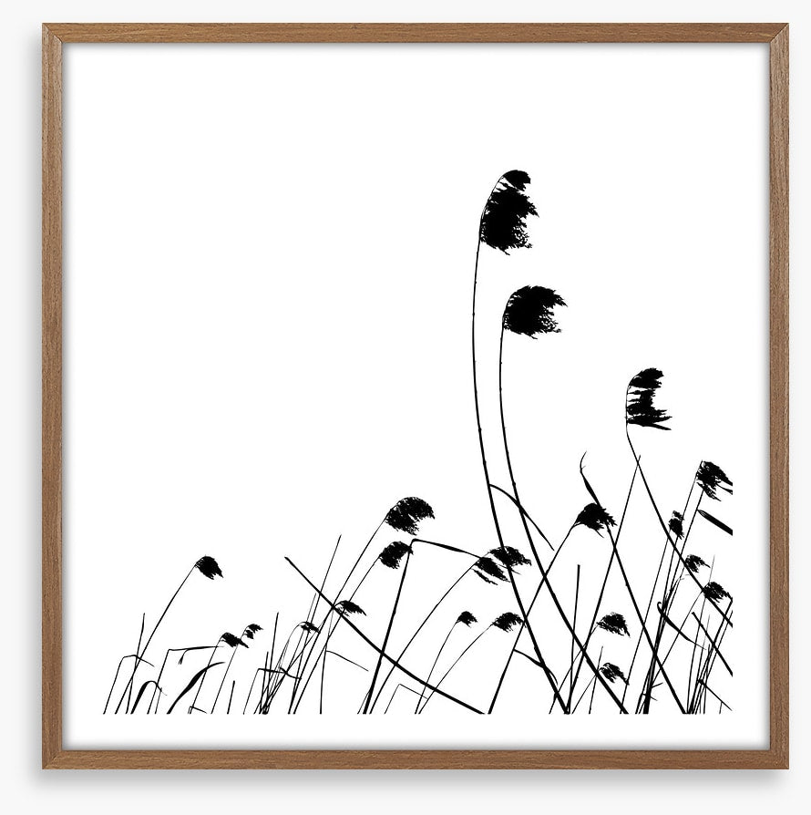 Blowing in the breeze