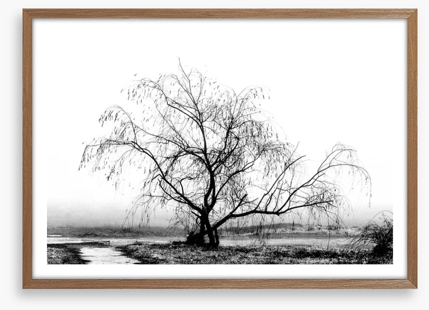 Silhouette by the stream