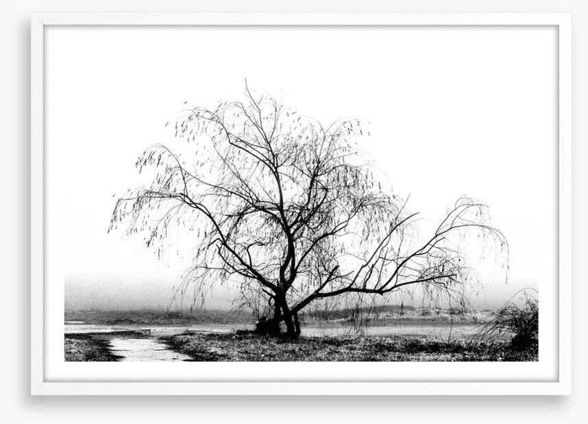 Silhouette by the stream