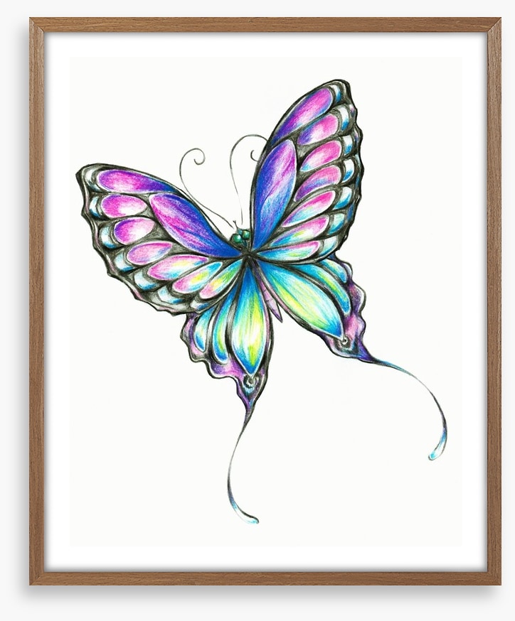 Butterflies