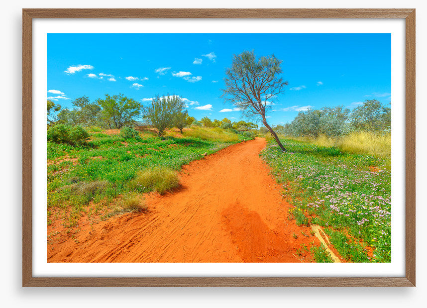 Red earth spring