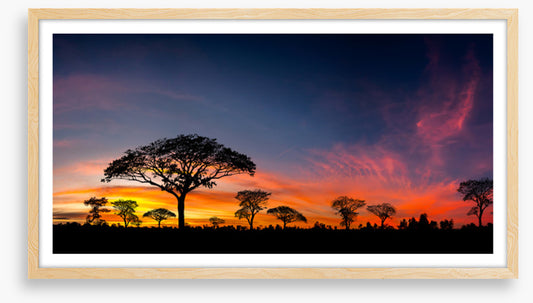 Setting sun silhouettes