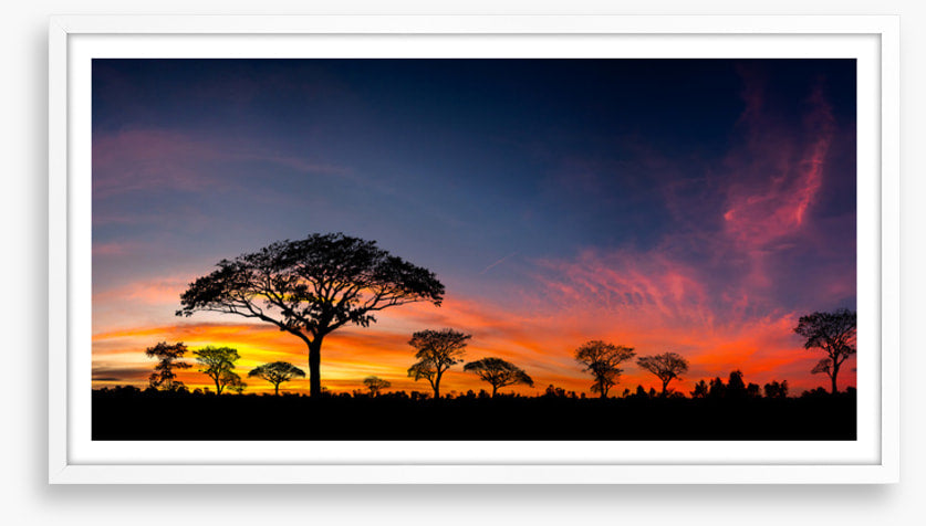 Setting sun silhouettes