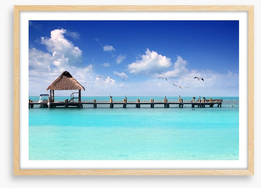 Pelican jetty, Isla Contoy