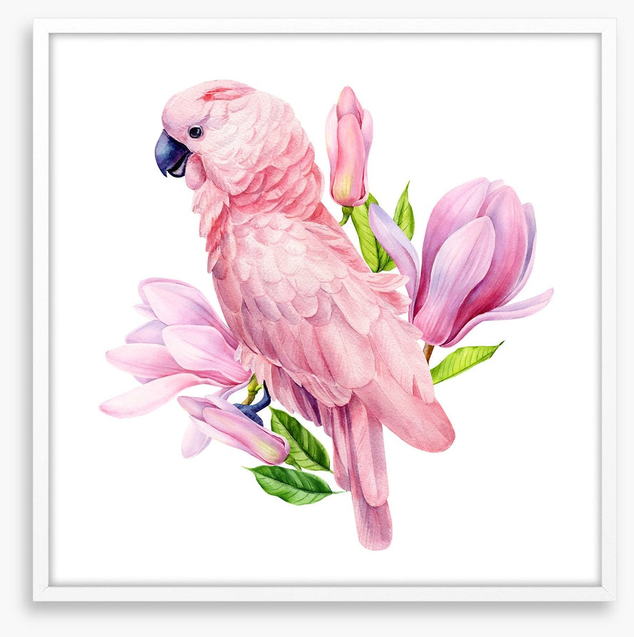 Pink parrot magnolia
