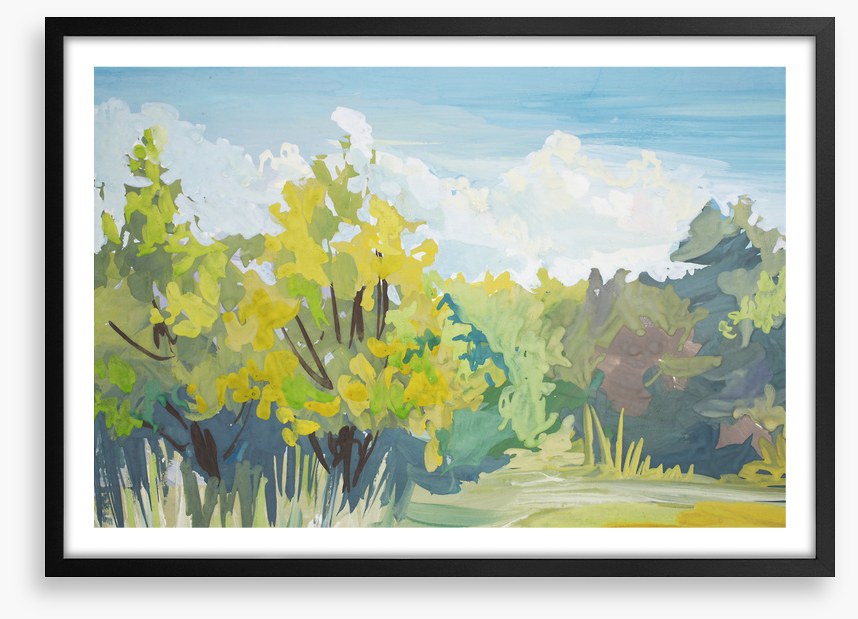 Landscapes