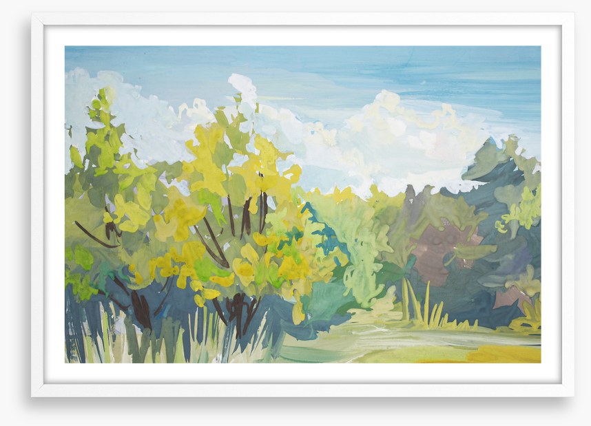 Landscapes