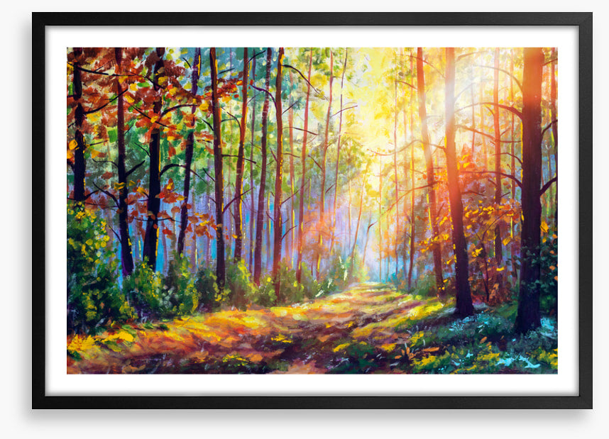 The sunshine path