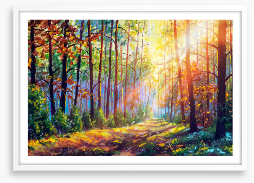 The sunshine path