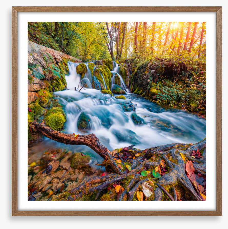 Falling into autumn