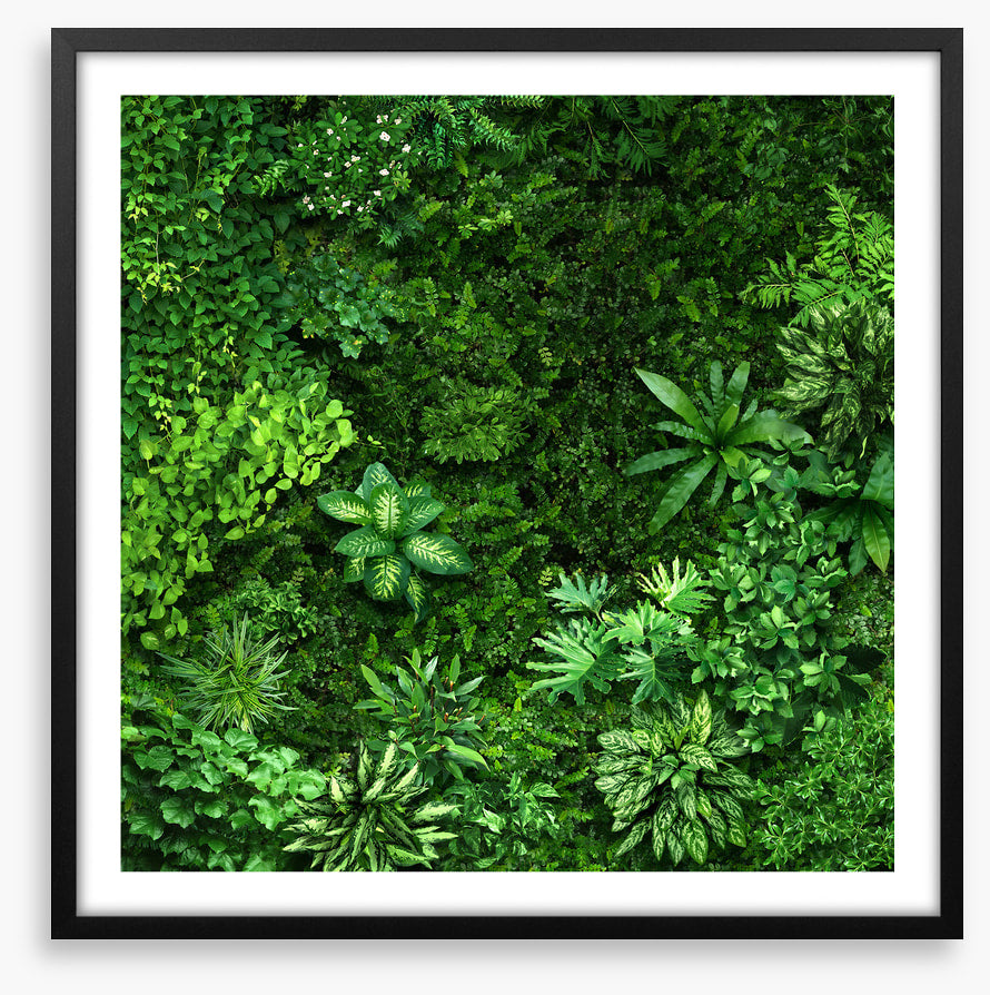 Leafy greens