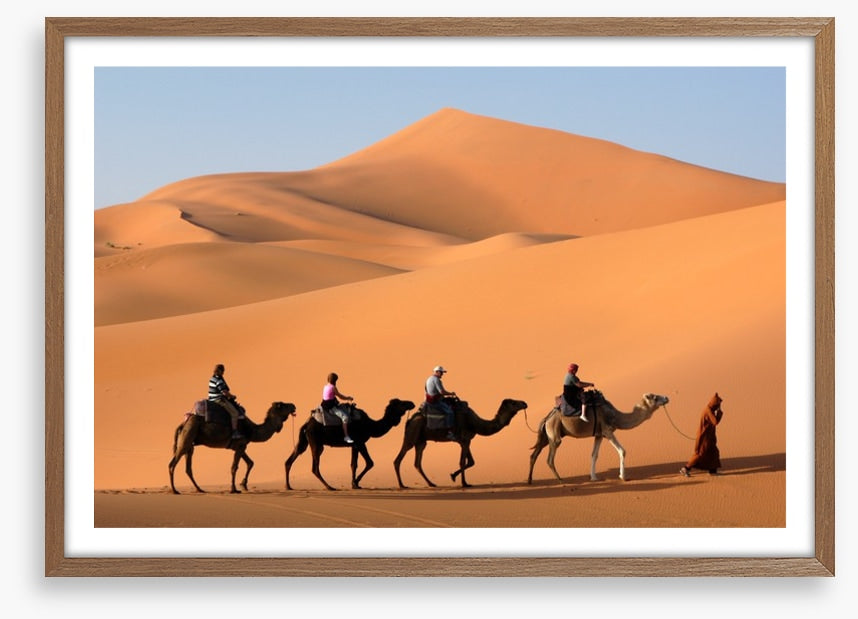 Camel convoy