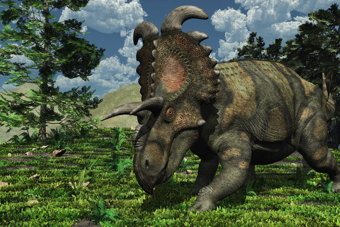 Dinosaurs