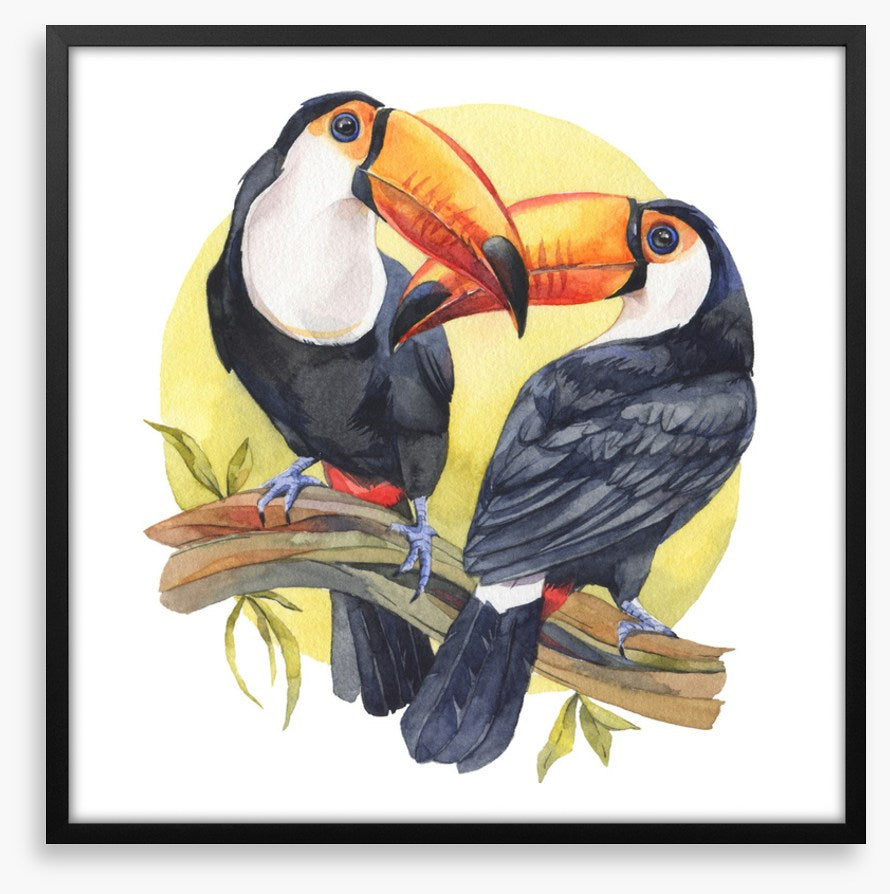 Toucan sun